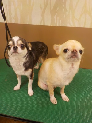 よろしくね～！！