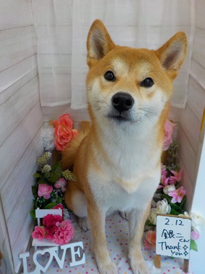 がんばったぞ!!