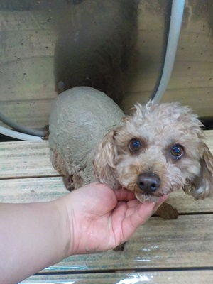 トータルケア★