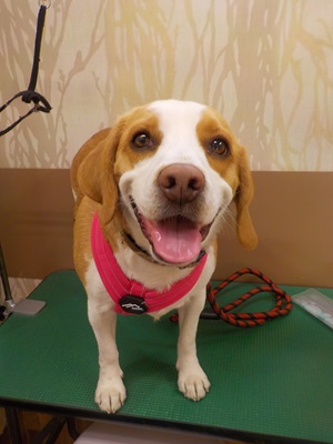 きたよ～～～！！！