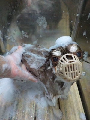 もう終わりますか？