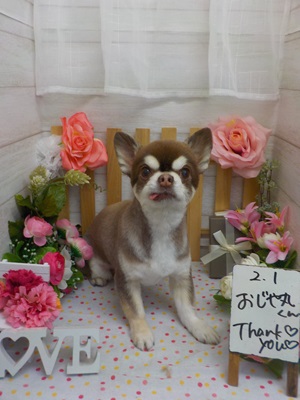 頑張ったぞ！！