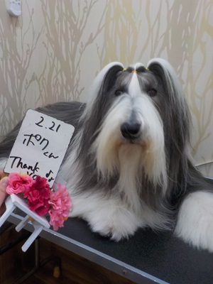 さらっふわっ！！