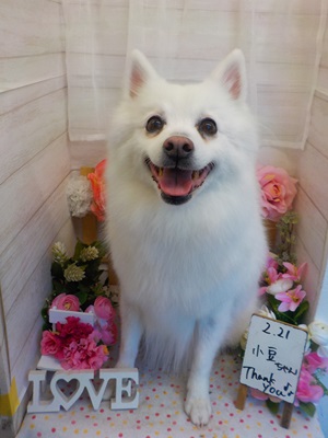 ビックスマイル☺