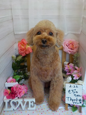 可愛くなったわ♪