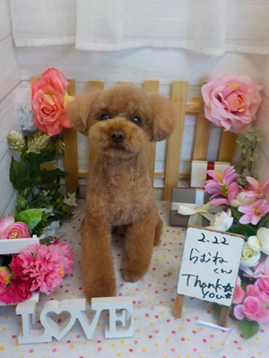 頑張りました👍