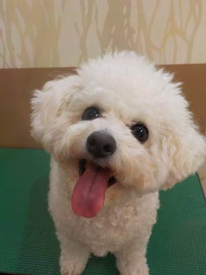 きたよ～～～！！！