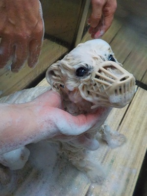 もう終わります?