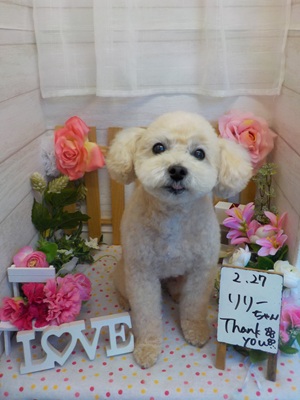 頑張りました👍