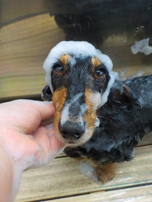 泡まみれ○o。.