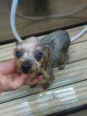 泥パックもだよ~ん