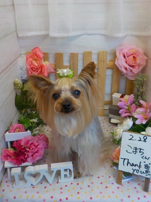 さらぴか~°˖✧