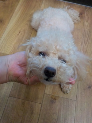 もうやるのぉ~?