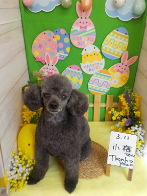 すっきりだわ！