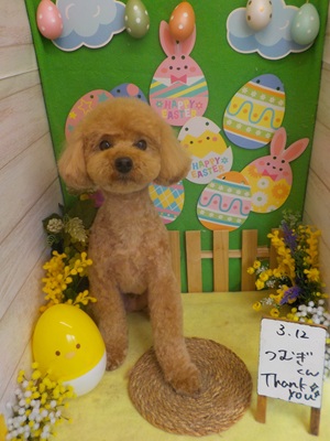 すっきりしたわ～