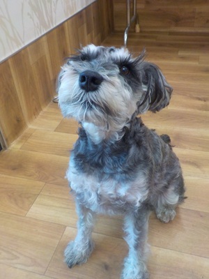 はじめまして～♫