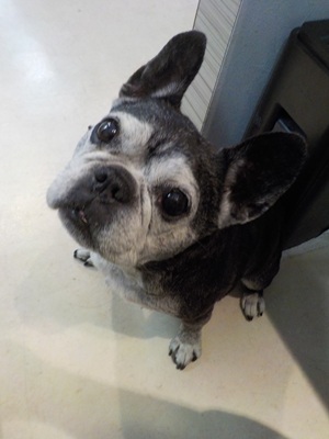 ご褒美ください