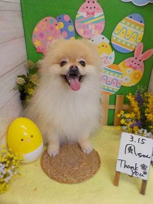 ふわっふわ～♪