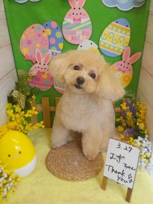 可愛くなった？