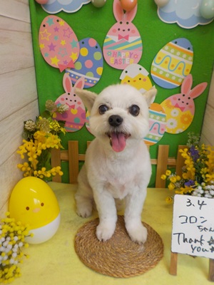 がんばりました！！