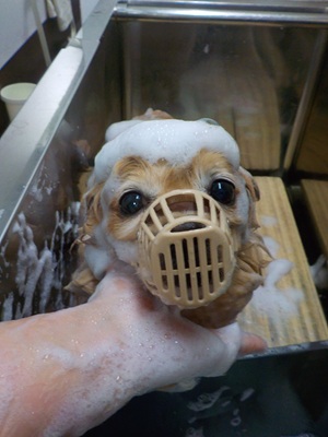 頑張ってます…