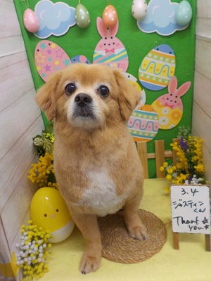 すっきりしました♪