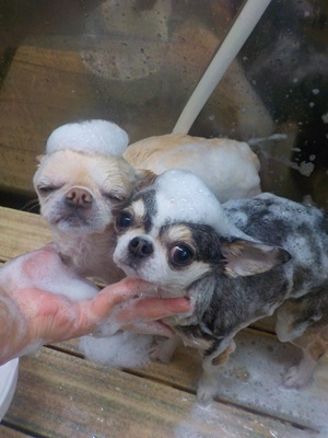 2人であわわ.。o○