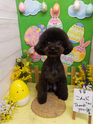 すっきりカット！！