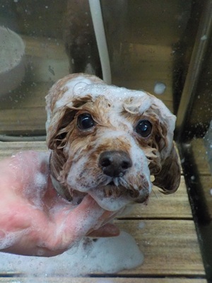 泡まみれ○o。.