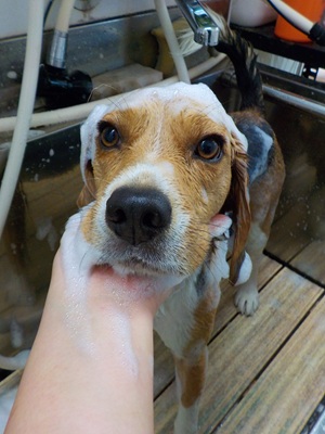 泡まみれ○o。.