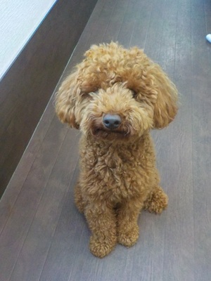 もしゃもしゃ～