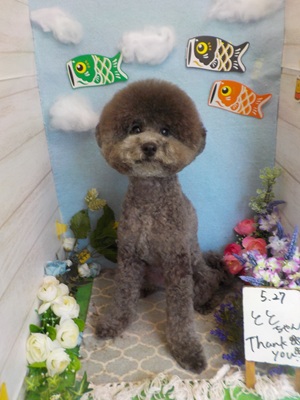 まるっと！！！