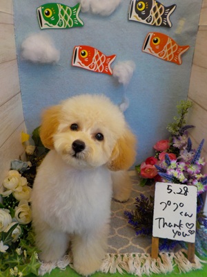 がんばったぞ！！