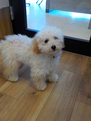 はじめまして～