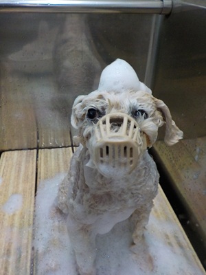 もうおわります?