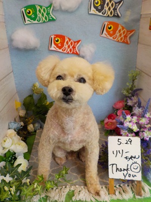 がんばったよ!!