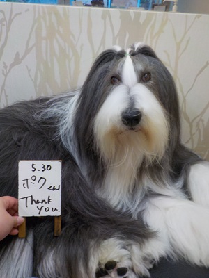 さらっさら～✨