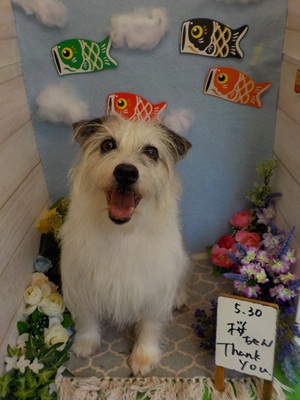 ふわふわだよ～