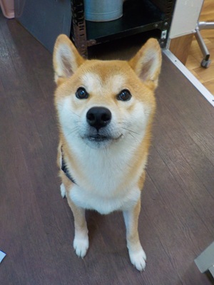 きたよ～～～！！！