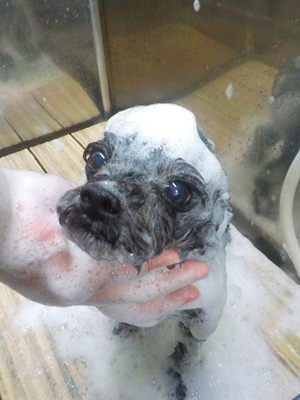 泡まみれ○o。.