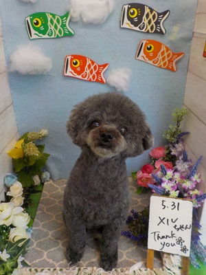 かわいくなった?