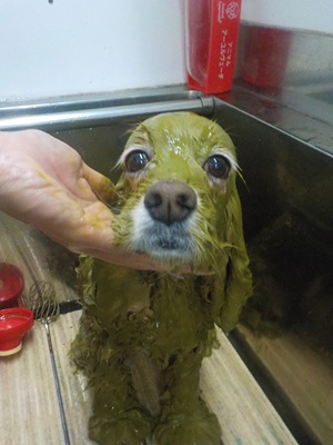 みどりタイム🌿🌿