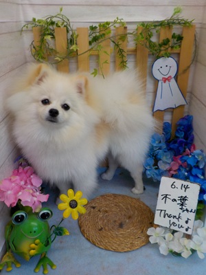 ふわふわだよ～