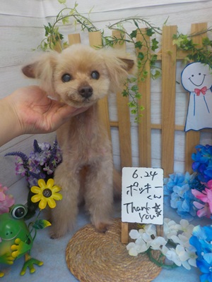 がんばったぞ!!