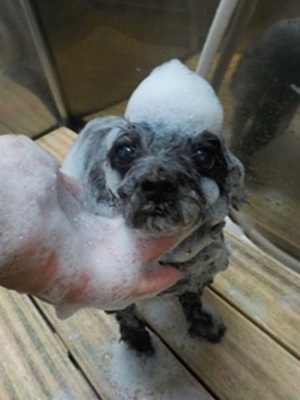 まずは汚れを落として…