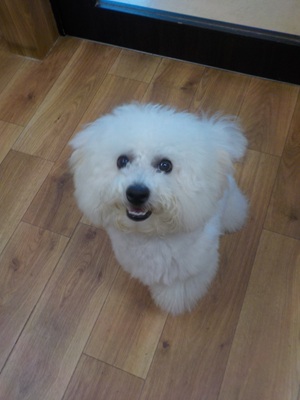 はじめまして!ちくわです!!