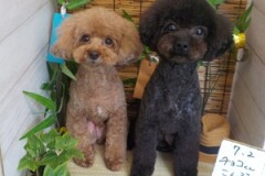 すっきり～！！