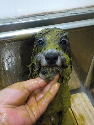 🌿みどり中🌿