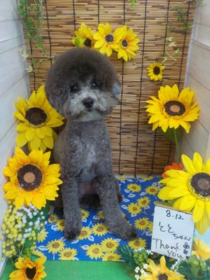 すっきりしたわ~♪