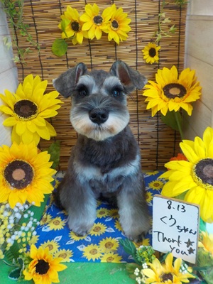 イメチェン大成功✨